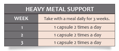 Heavy Metal Support 